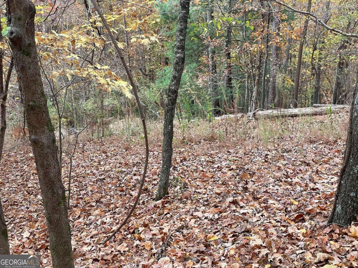 Lot 468 Cherokee Court Property Photo 4