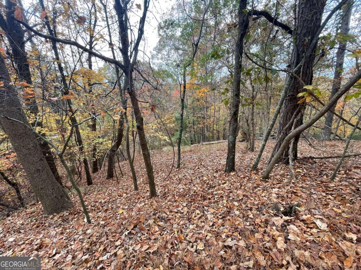 Lot 468 Cherokee Court Property Photo 5