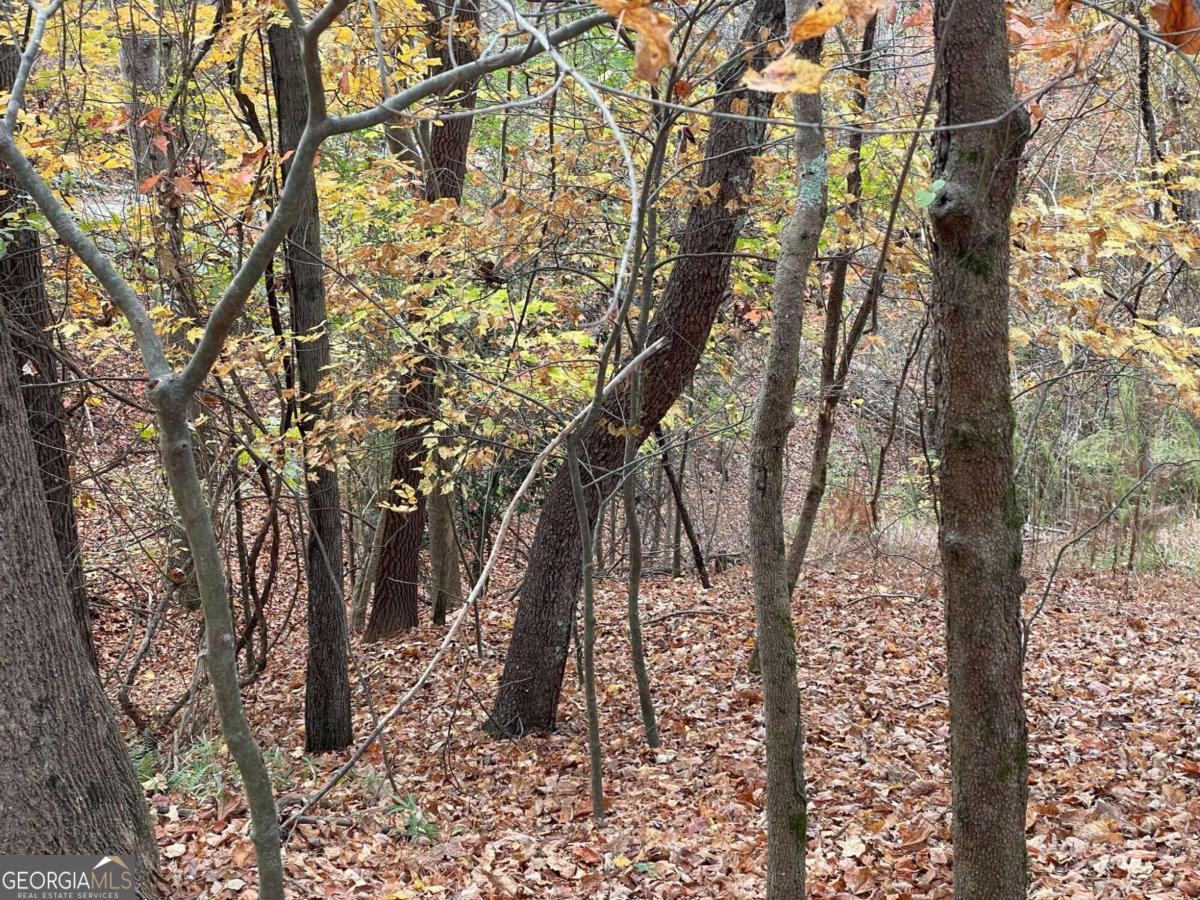 Lot 468 Cherokee Court Property Photo 6