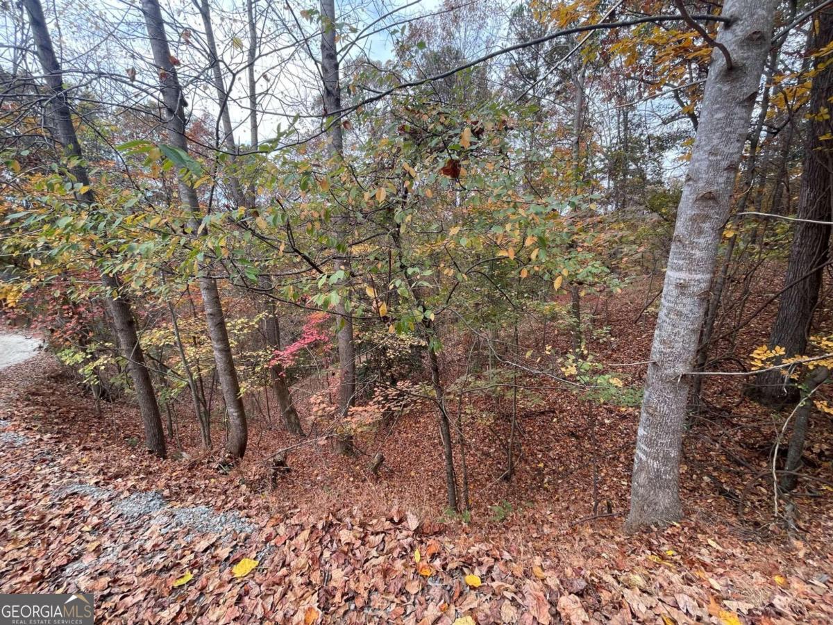 Lot 468 Cherokee Court Property Photo 7