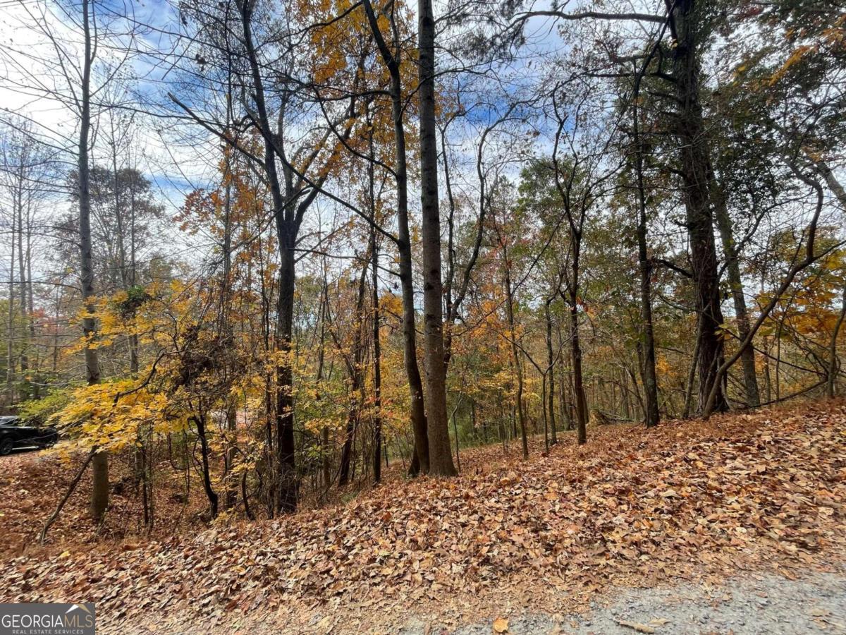 Lot 468 Cherokee Court Property Photo 8
