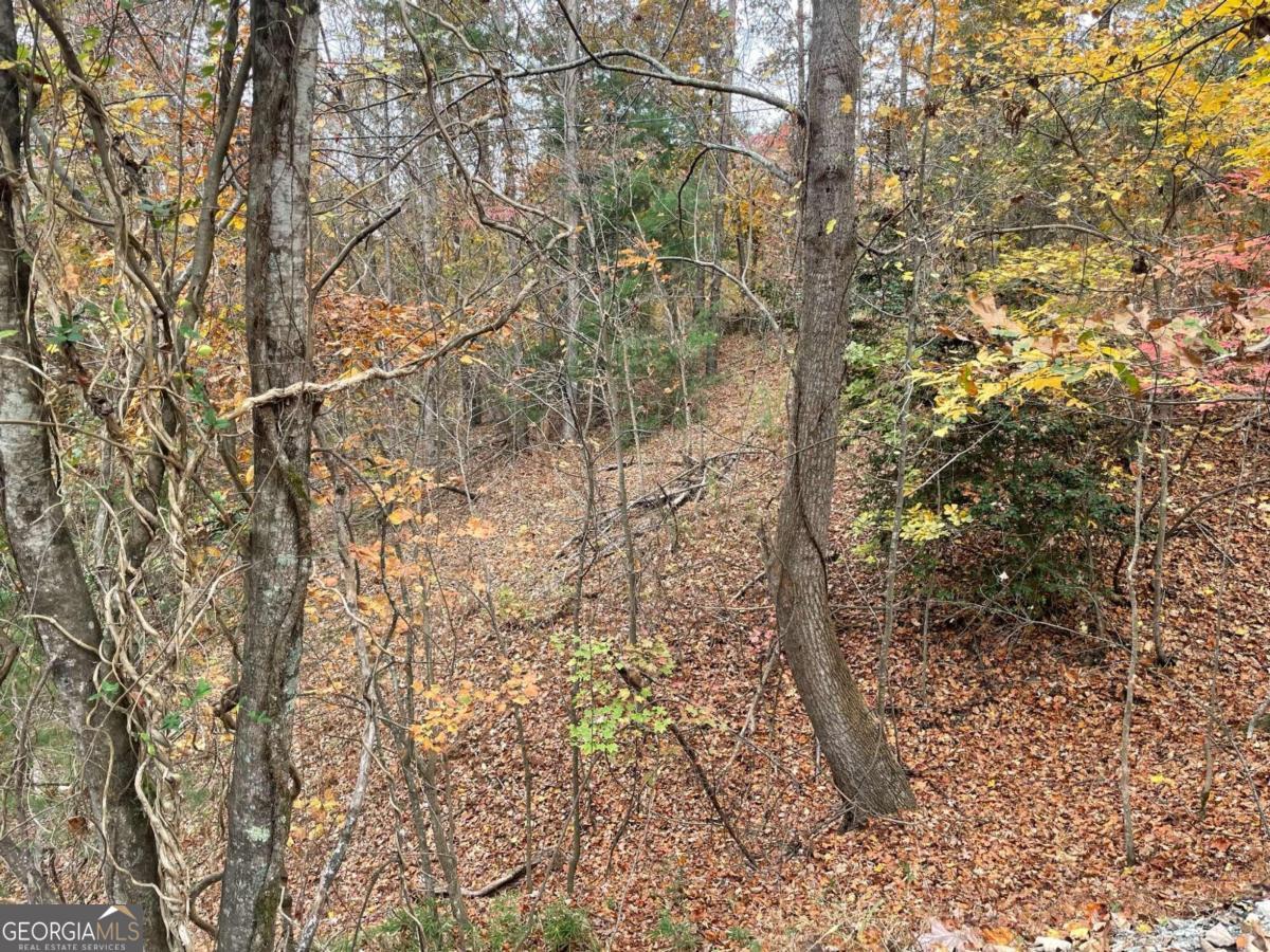 Lot 468 Cherokee Court Property Photo 9