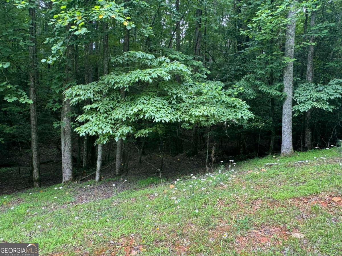 Lot 1721 Newport Drive Property Photo 1
