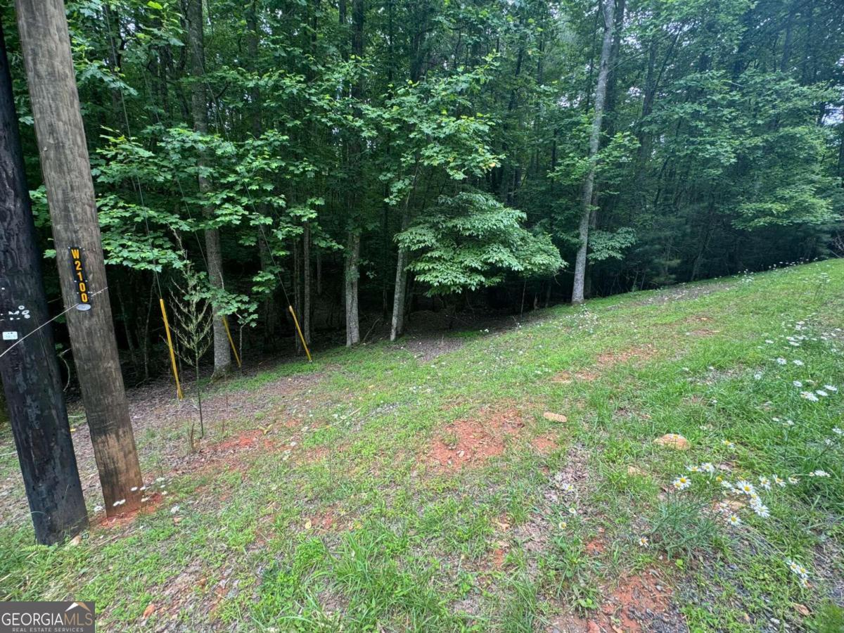 Lot 1721 Newport Drive Property Photo 2