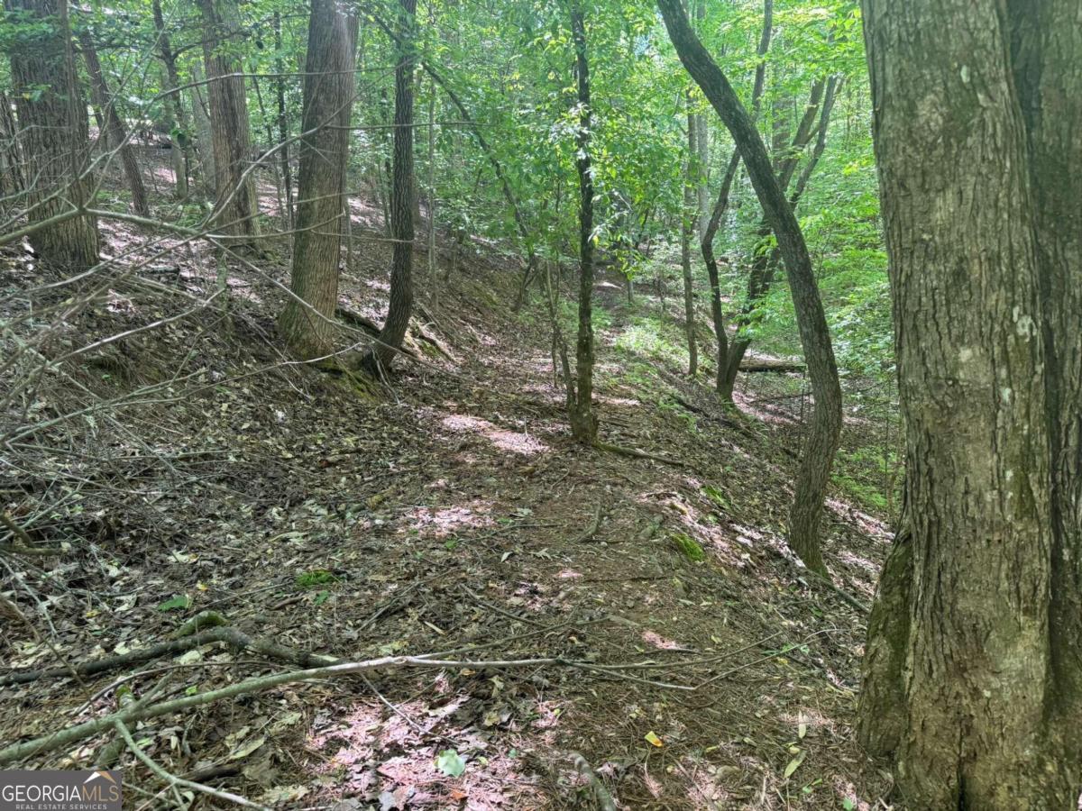 Lot 1721 Newport Drive Property Photo 3