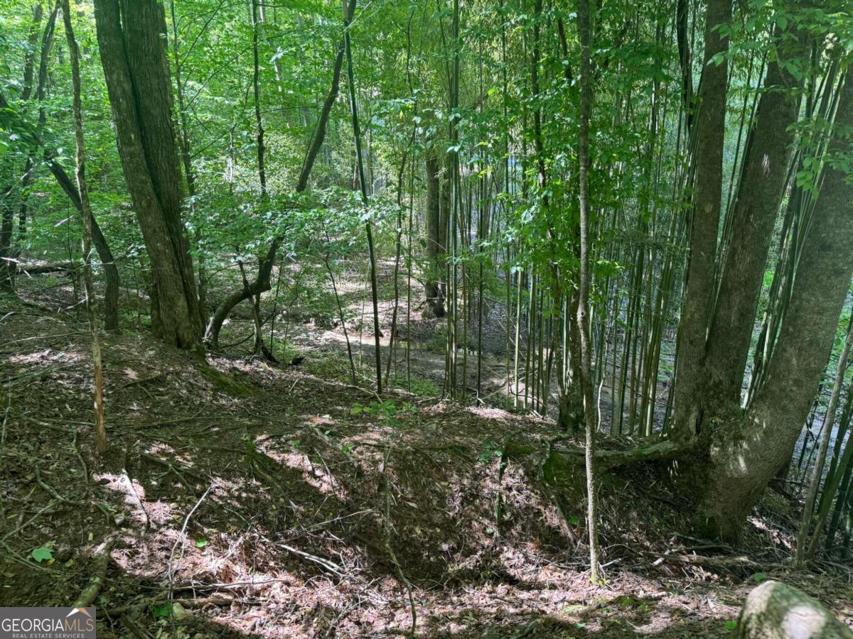 Lot 1721 Newport Drive Property Photo 5