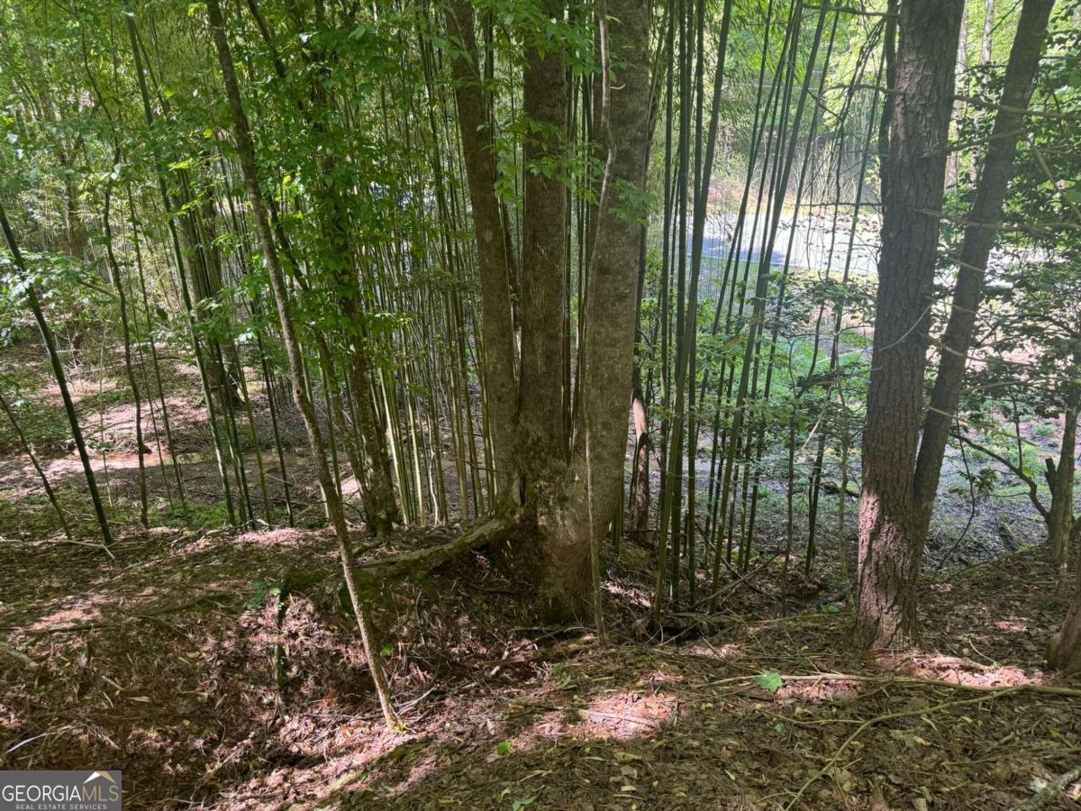Lot 1721 Newport Drive Property Photo 6