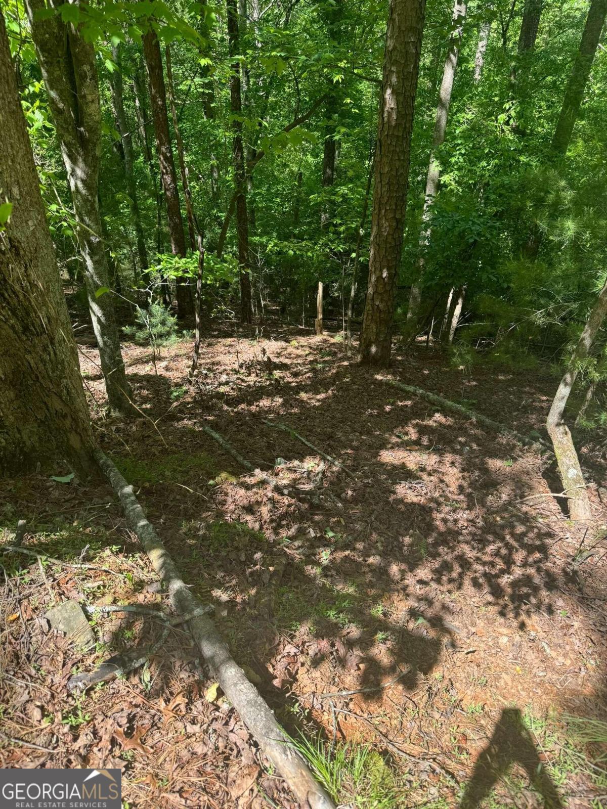 Lot 1721 Newport Drive Property Photo 7