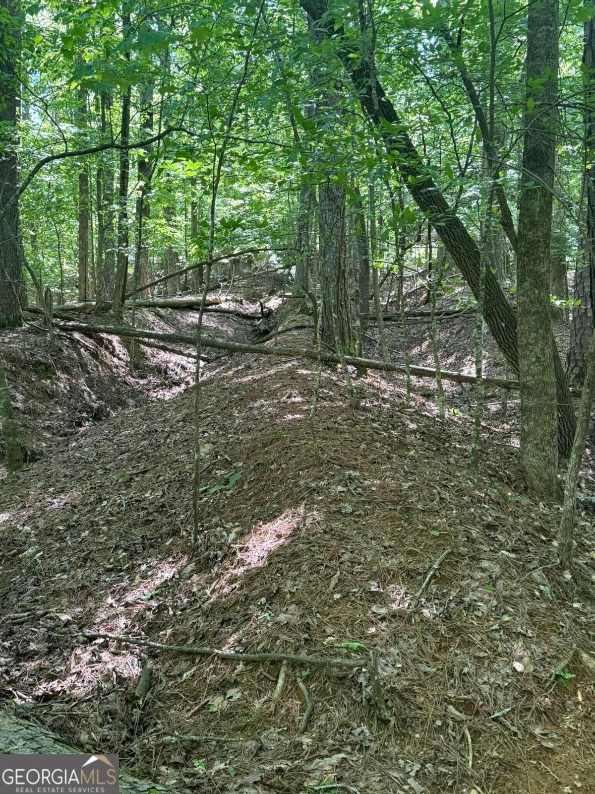 Lot 1721 Newport Drive Property Photo 8