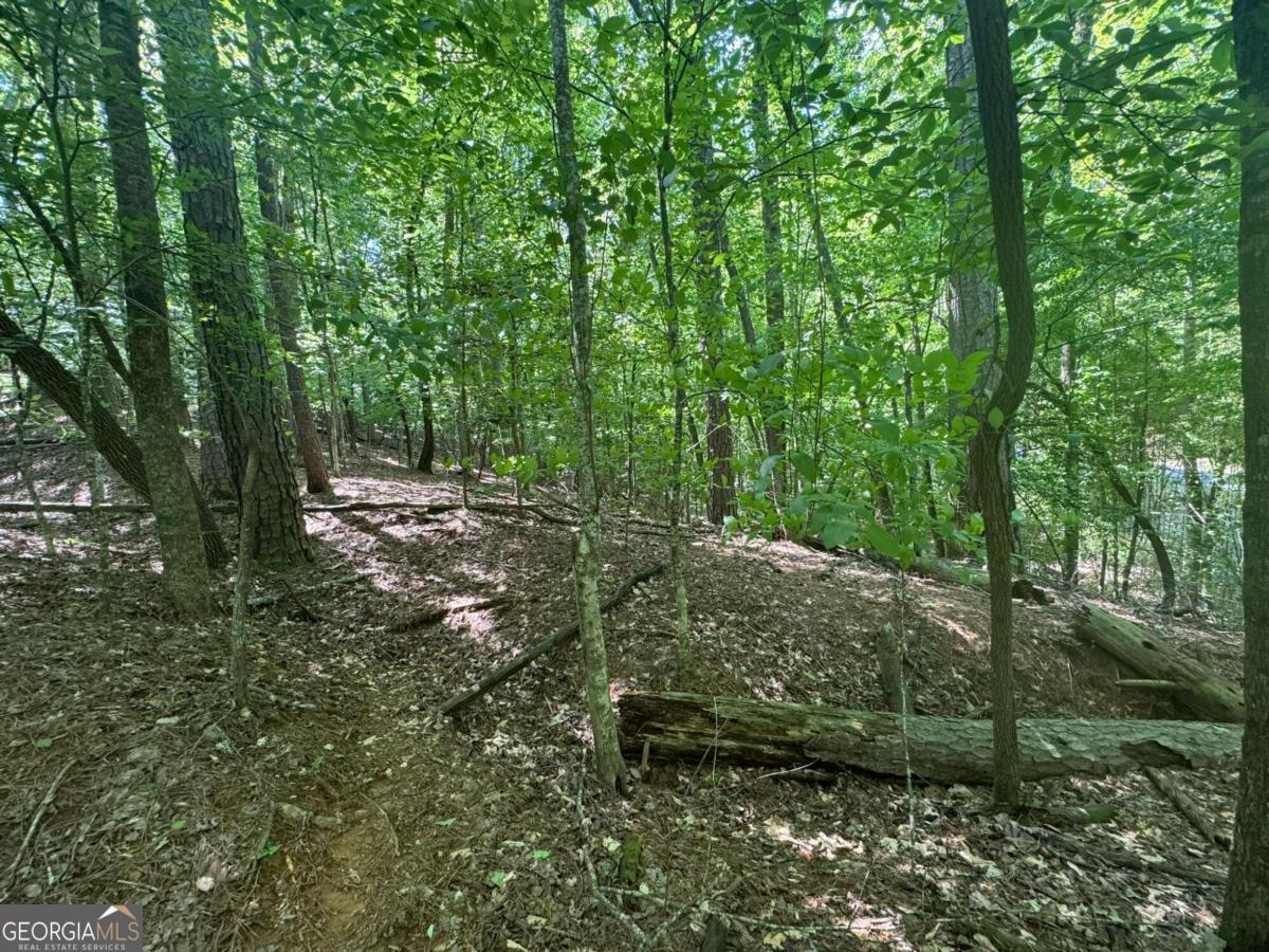 Lot 1721 Newport Drive Property Photo 9