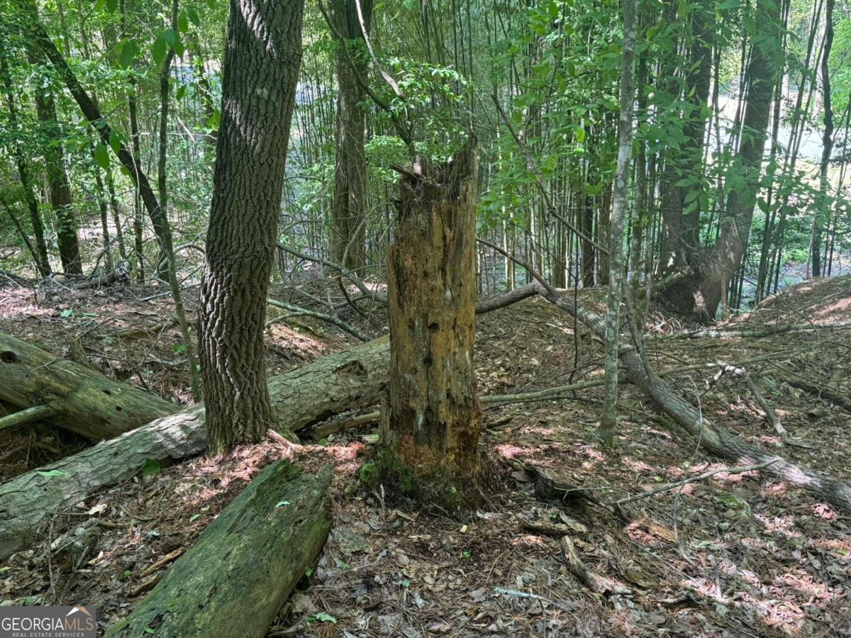Lot 1721 Newport Drive Property Photo 10