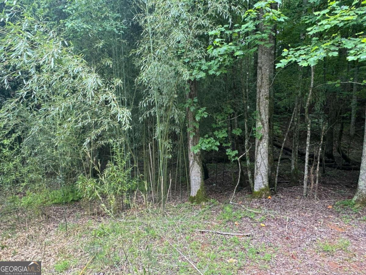 Lot 1721 Newport Drive Property Photo 12