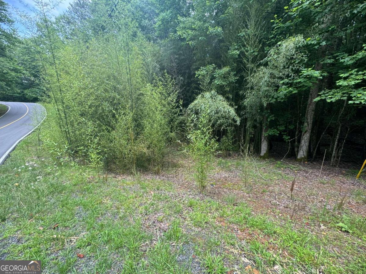 Lot 1721 Newport Drive Property Photo 13