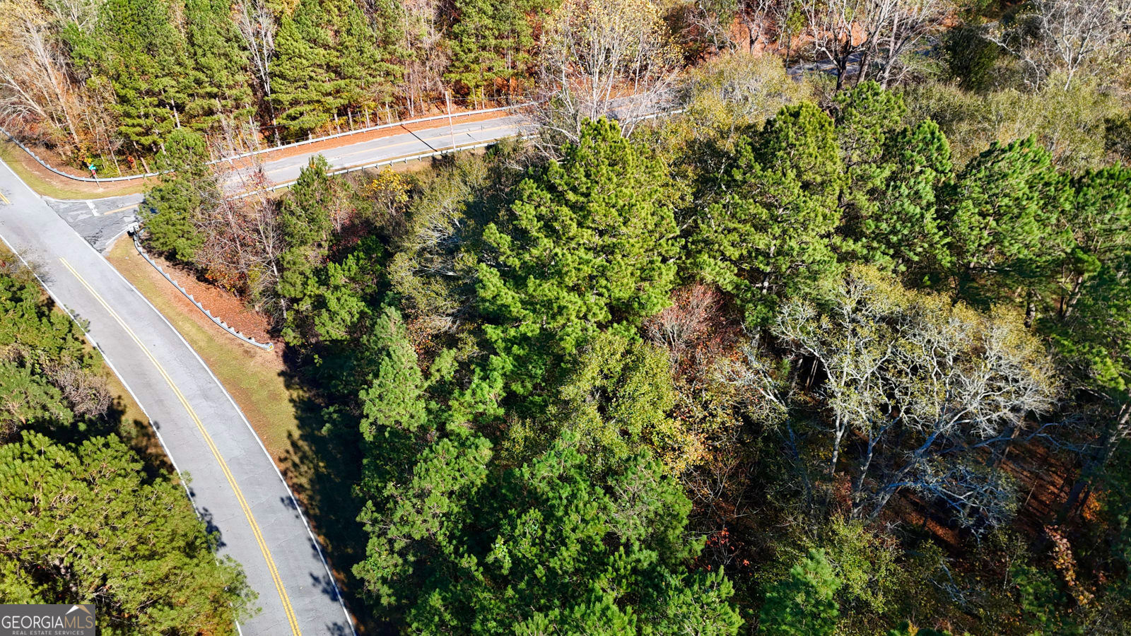4189 Haralson Mill Road Ne Property Photo 3