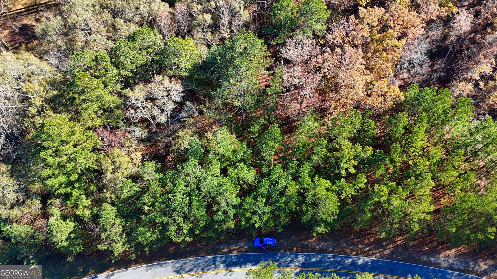 4189 Haralson Mill Road Ne Property Photo 4