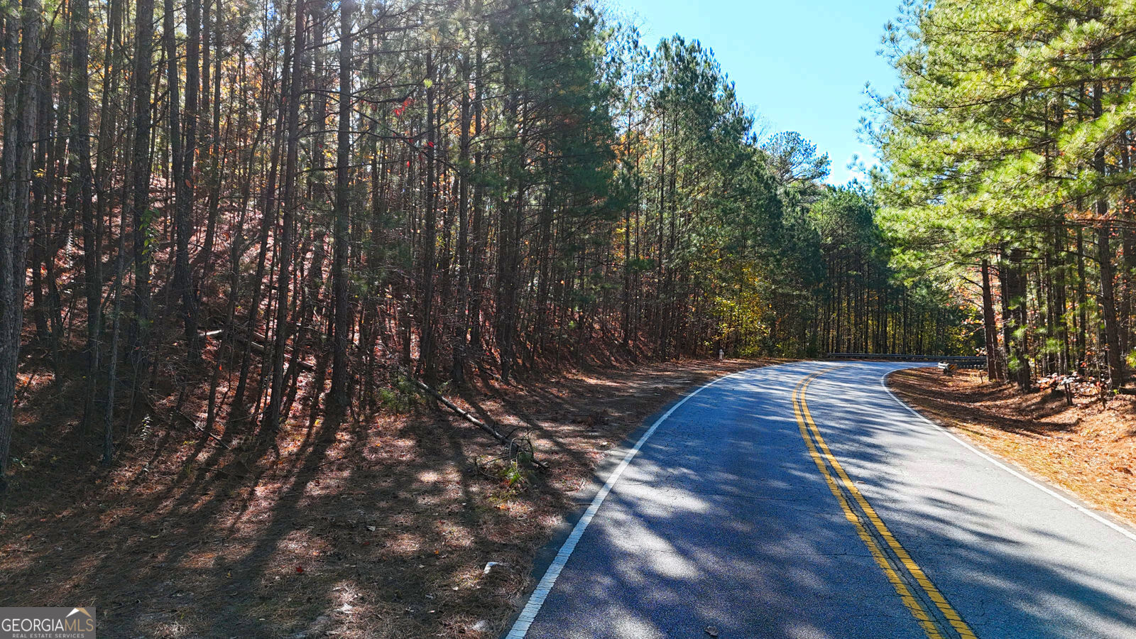 4189 Haralson Mill Road Ne Property Photo 6