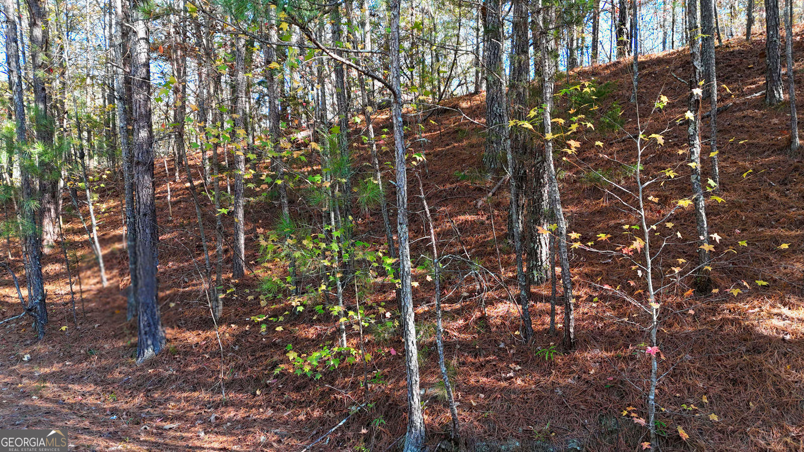 4189 Haralson Mill Road Ne Property Photo 7