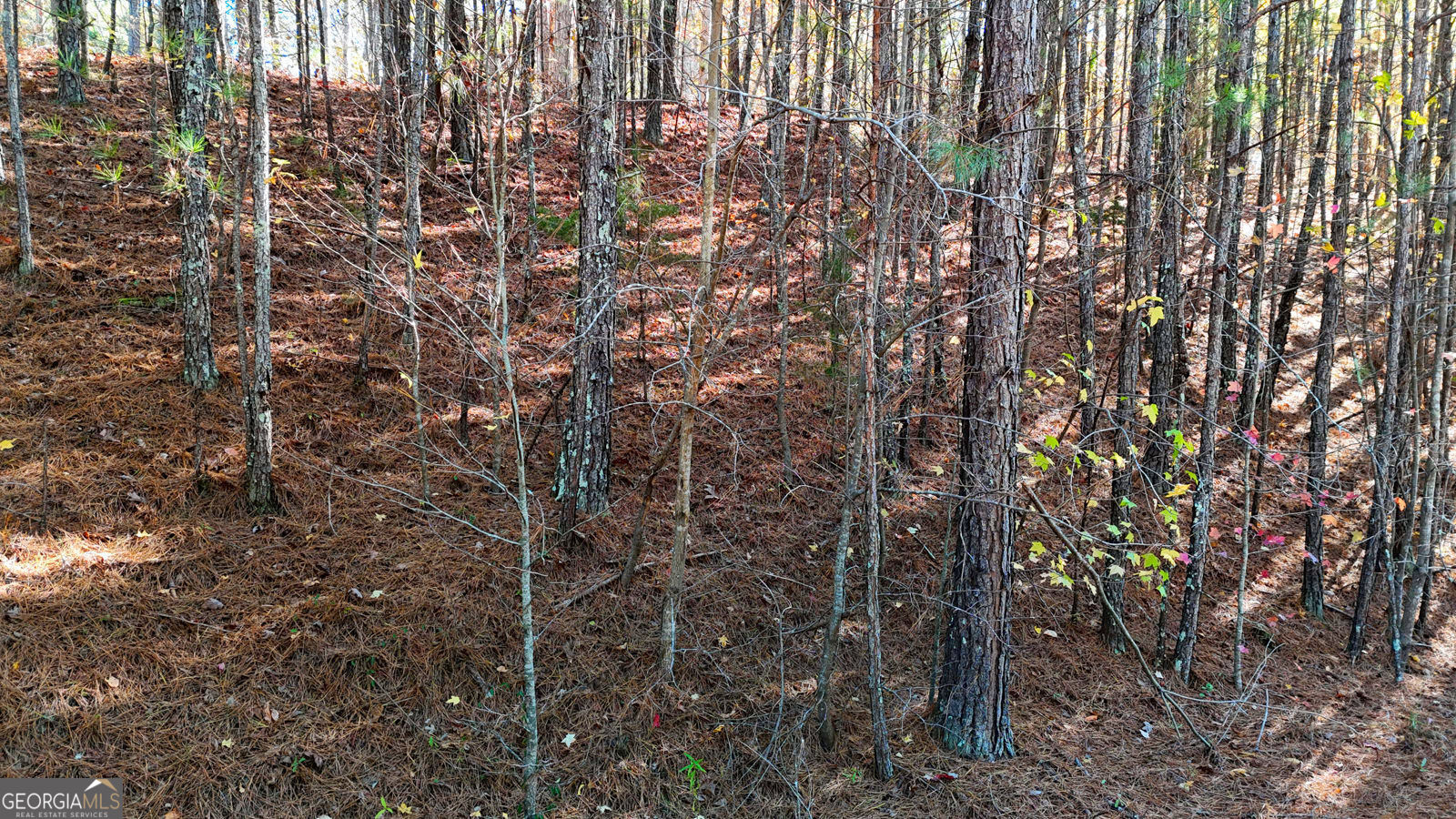 4189 Haralson Mill Road Ne Property Photo 8