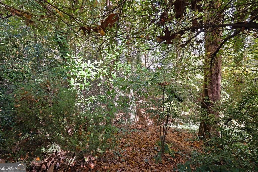 1981 Bramblewood Drive Ne Property Photo 31