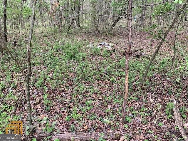 0 Satcher Road Property Photo