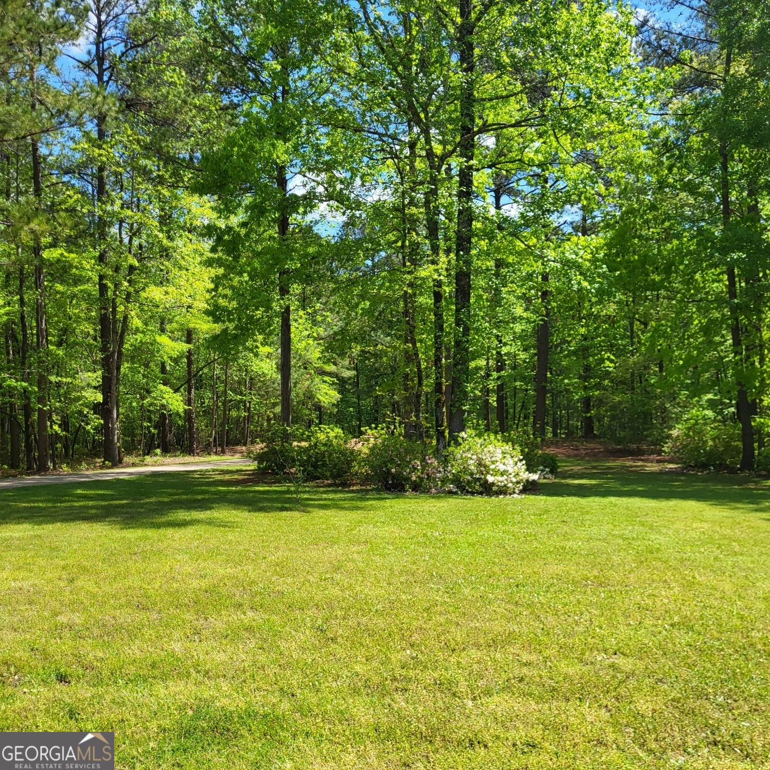 1155 Co Rd 517 Property Photo 44