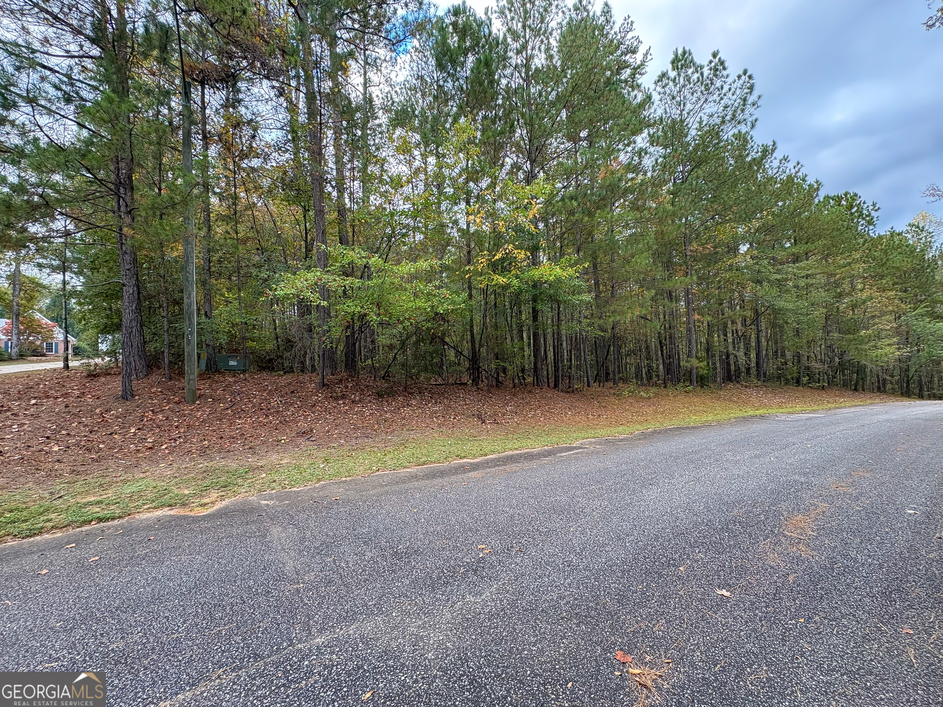 1155 Co Rd 517 Property Photo 47