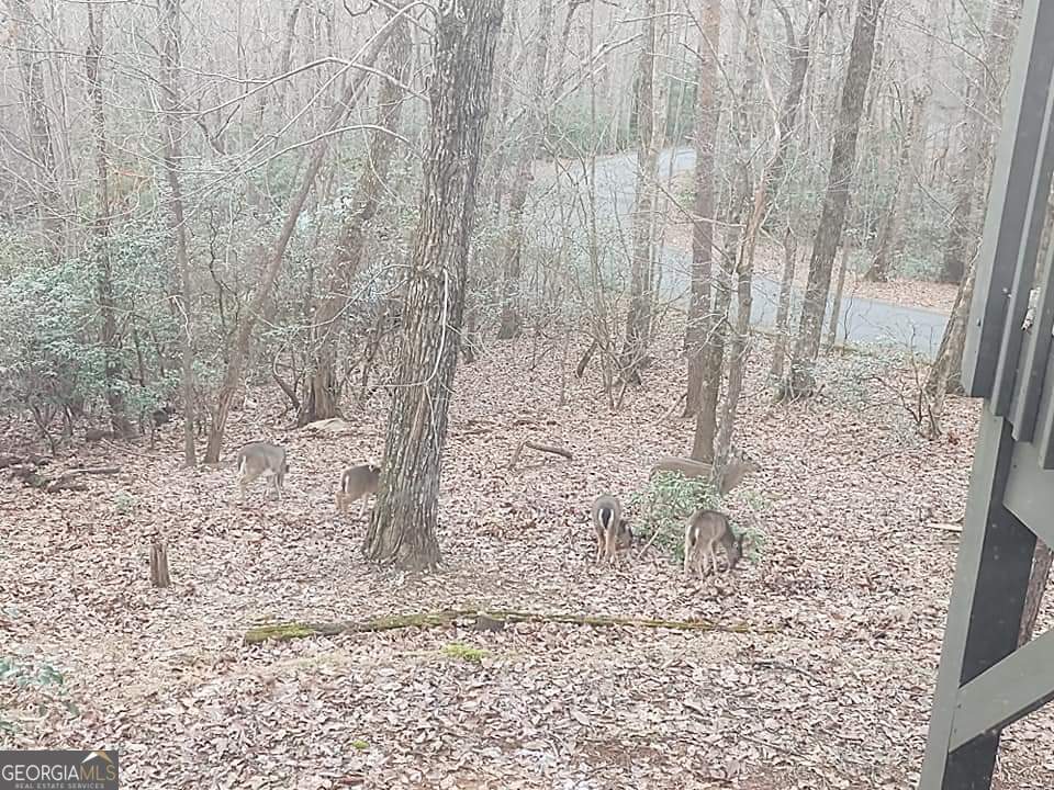 2630 Wilderness Parkway Property Photo 51