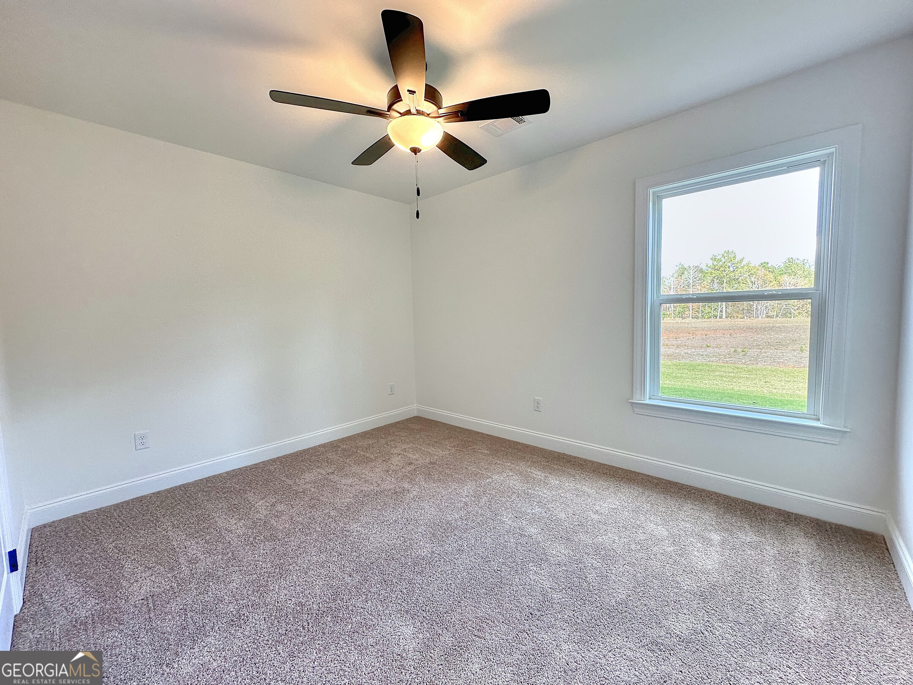 250 Young Lane Property Photo 9