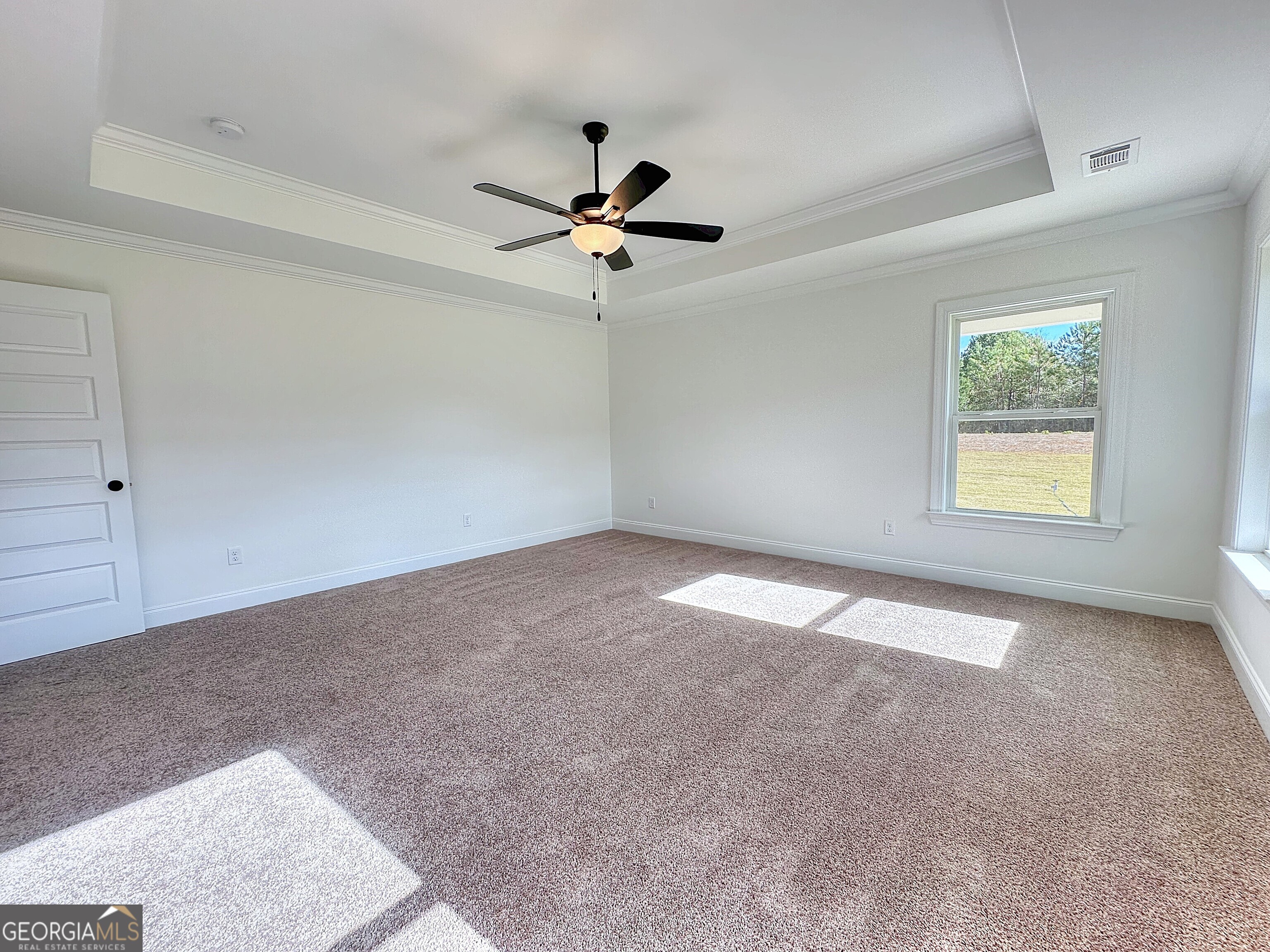 250 Young Lane Property Photo 10