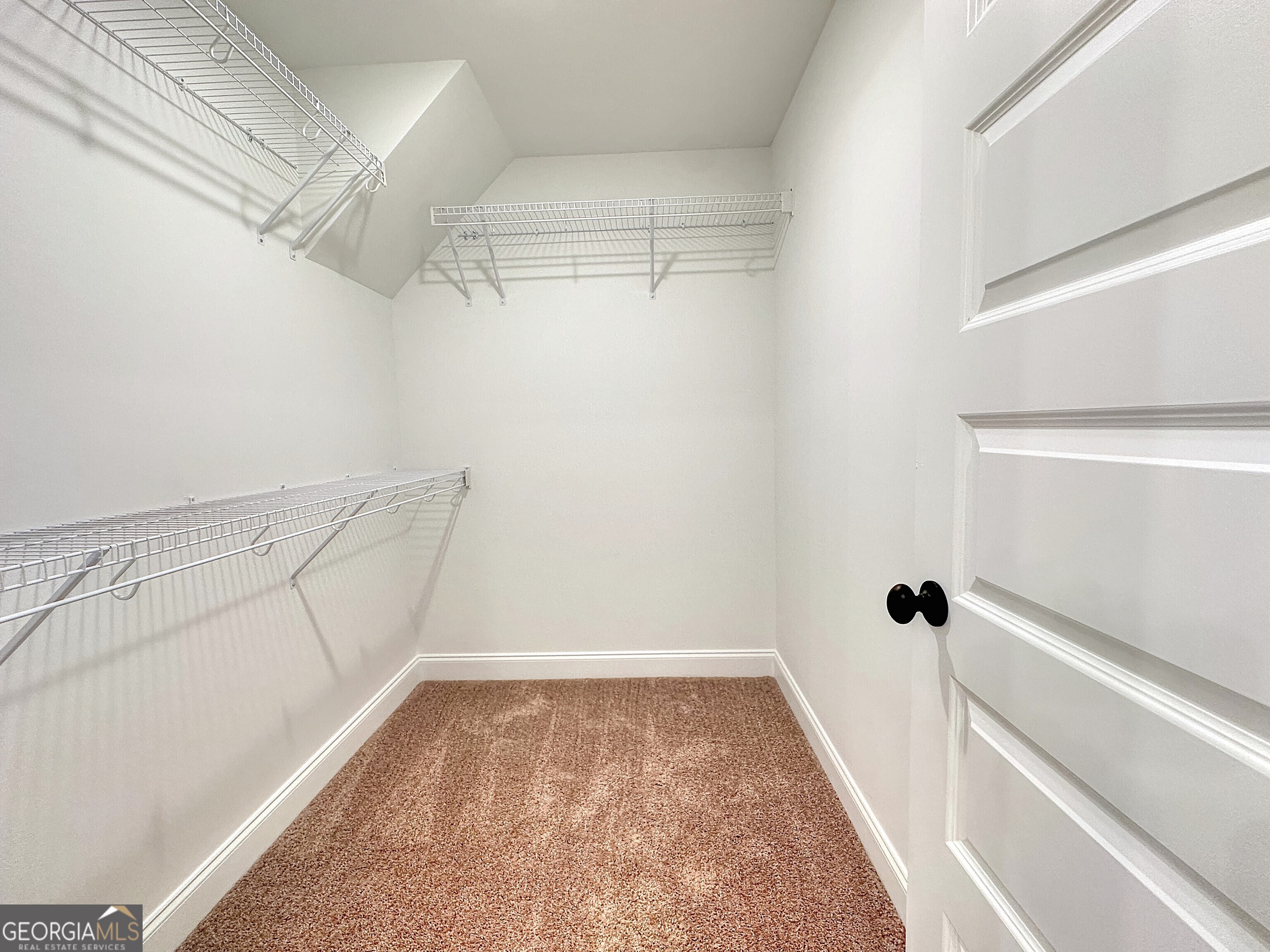 250 Young Lane Property Photo 13