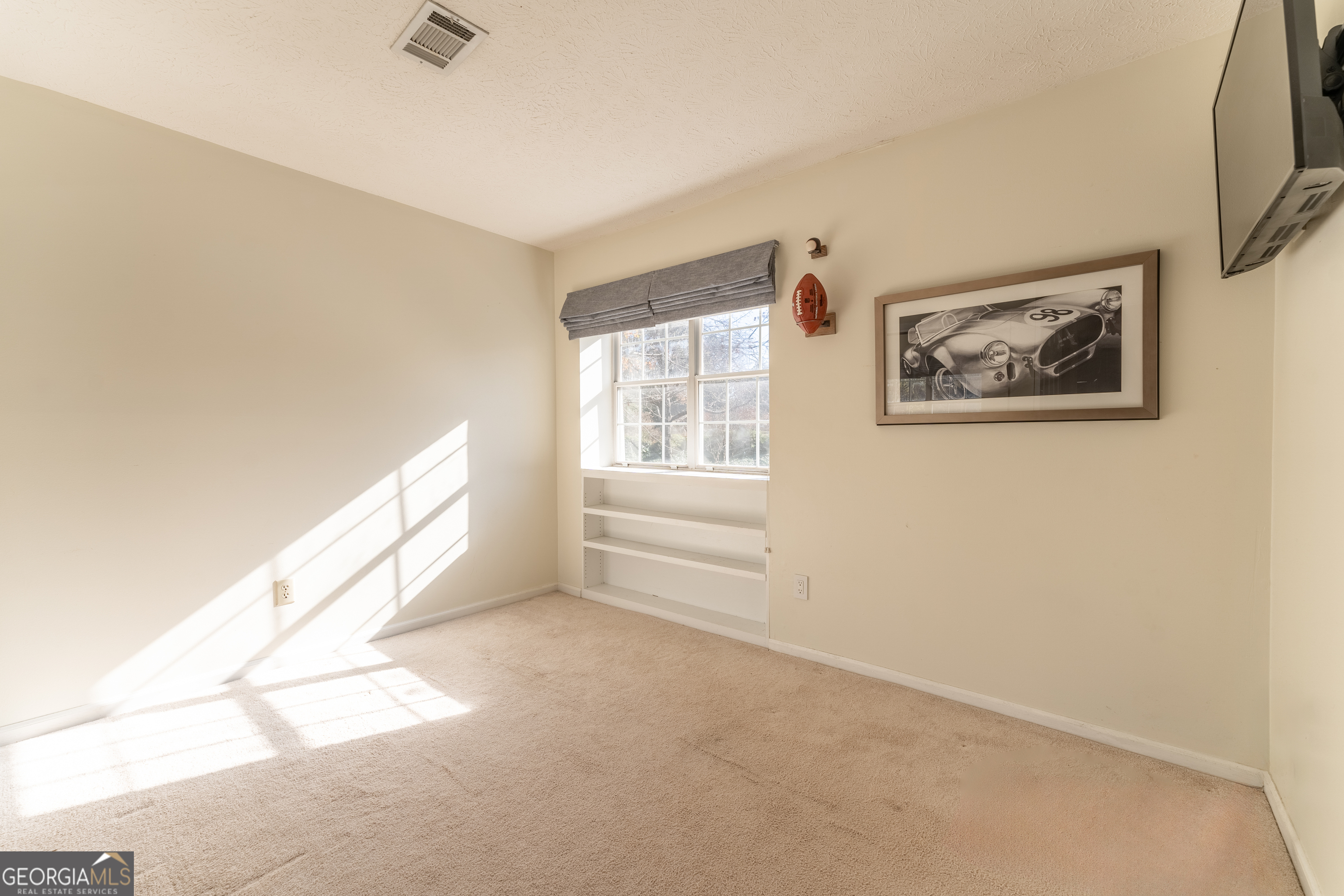 111 Swanton Hill Court Property Photo 37