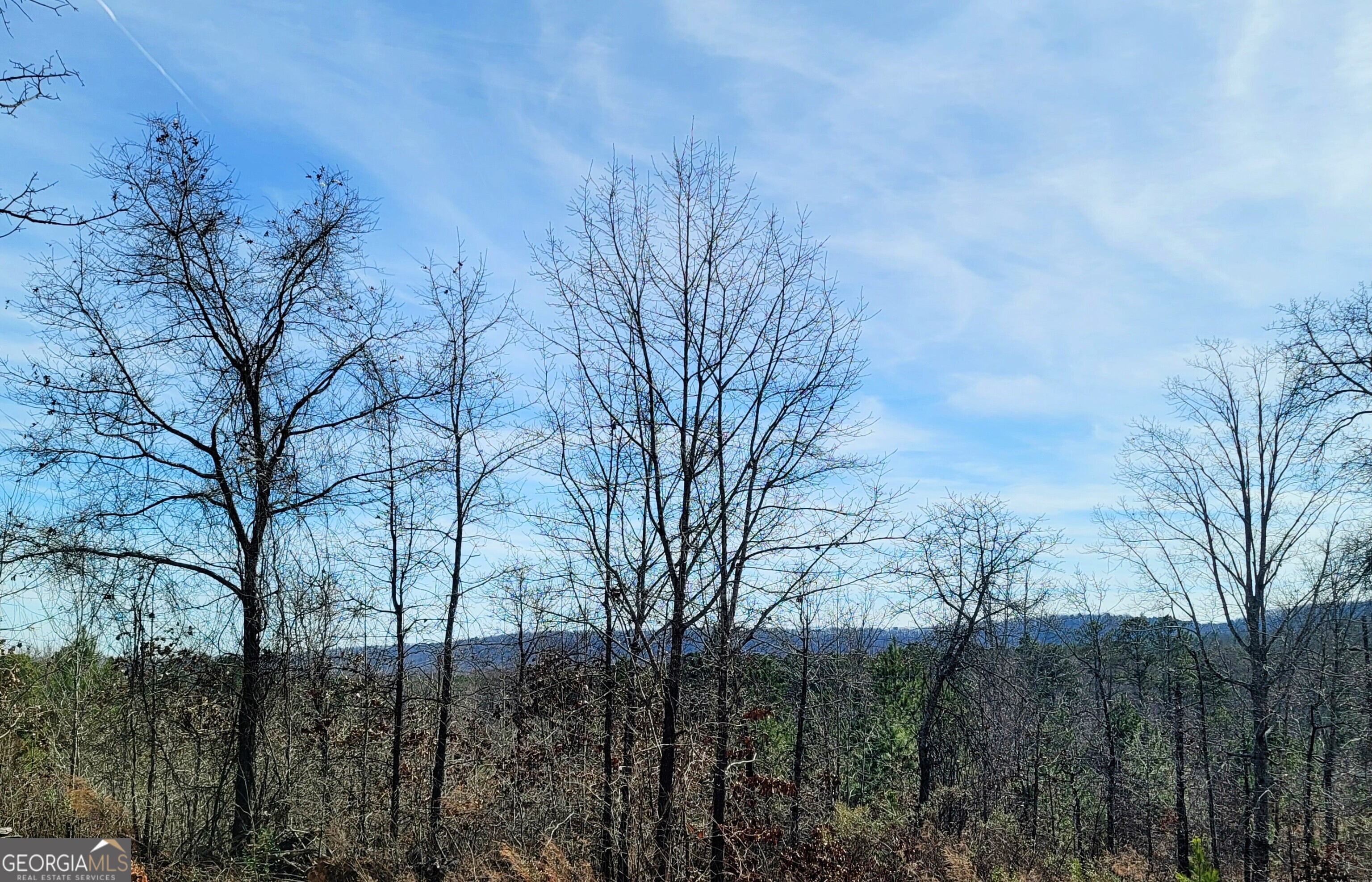 1138 Smyrna Church Road Property Photo 5