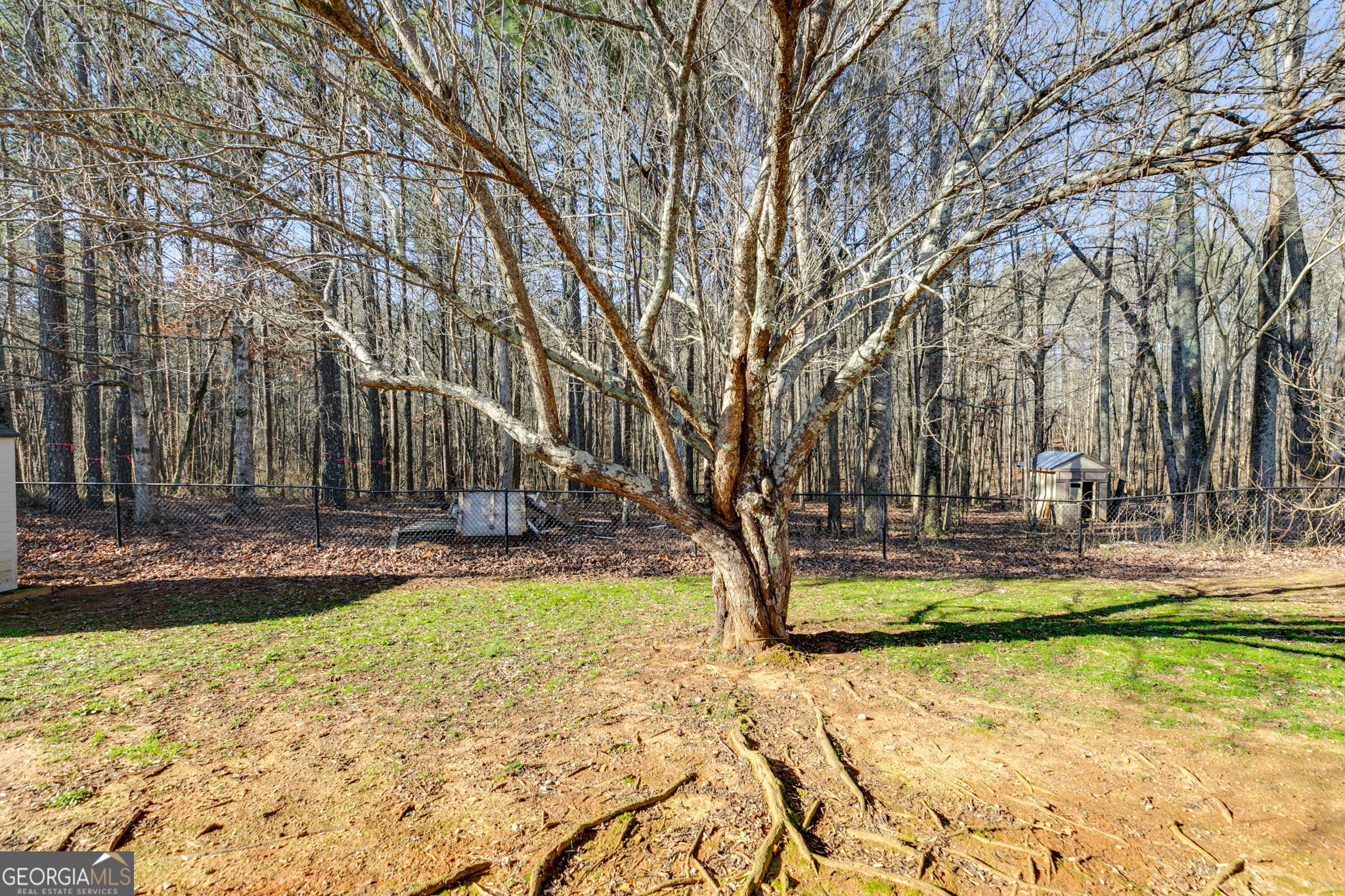 447 Wallace Way Property Photo 23