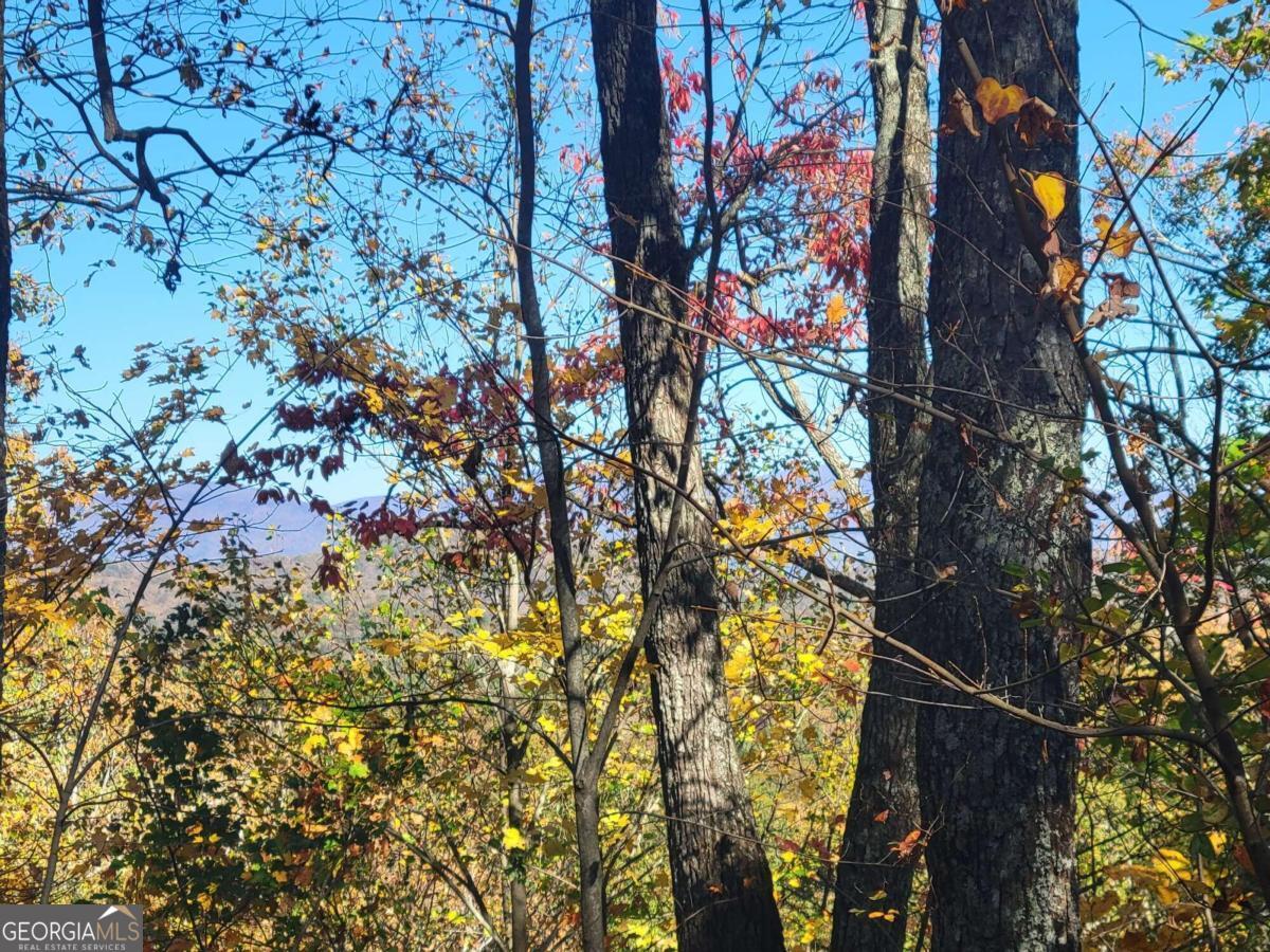 14 Ac Old Burnt Mountain Property Photo 1
