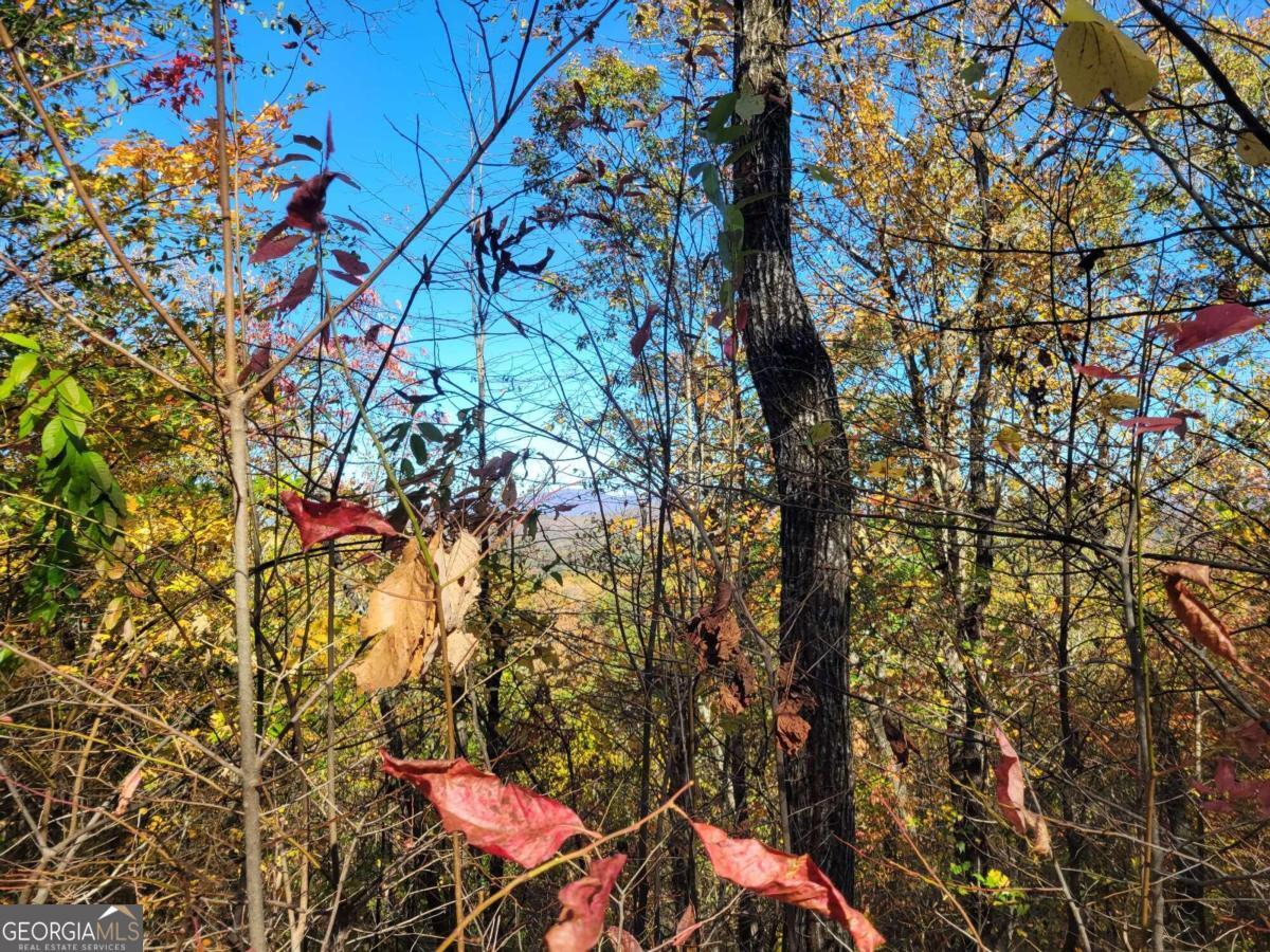 14 Ac Old Burnt Mountain Property Photo 2