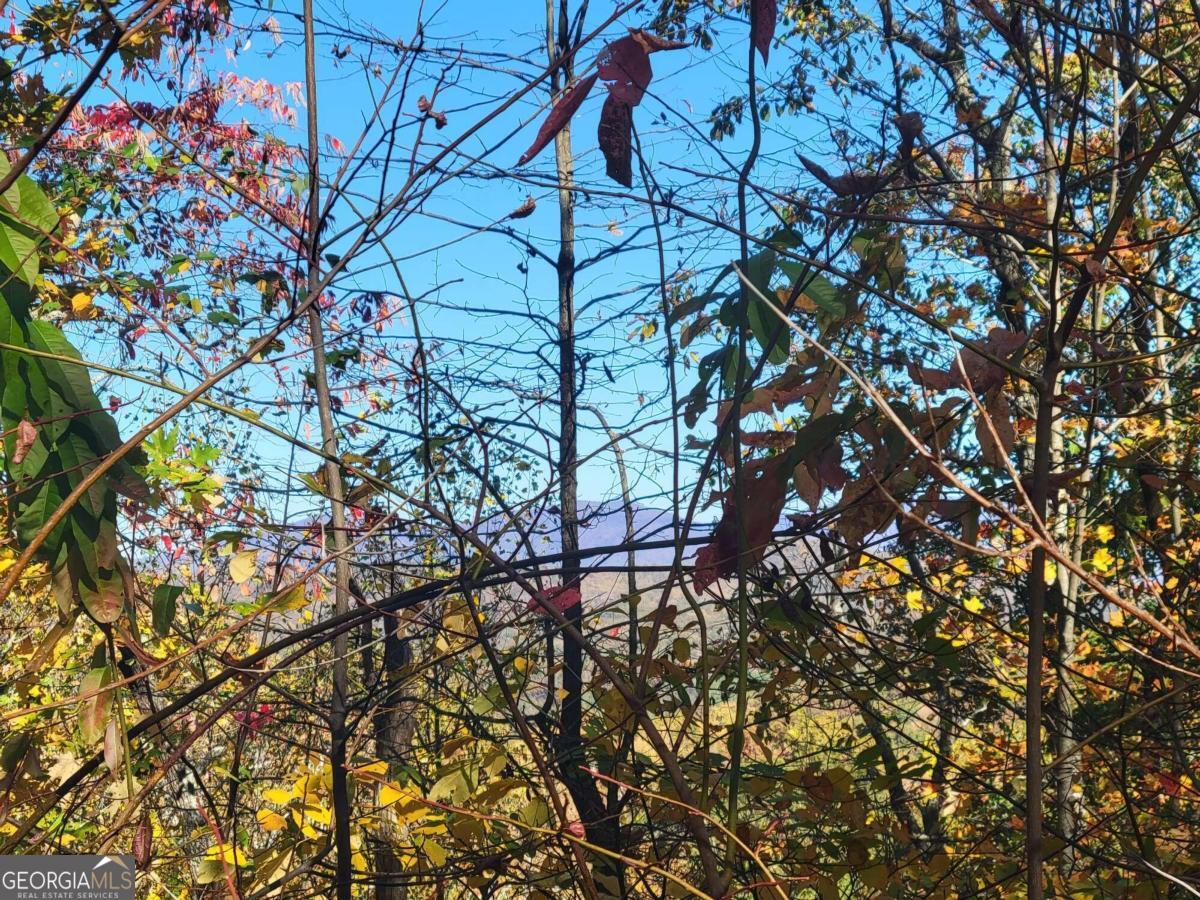 14 Ac Old Burnt Mountain Property Photo 3