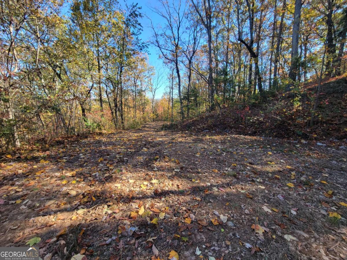 14 Ac Old Burnt Mountain Property Photo 4