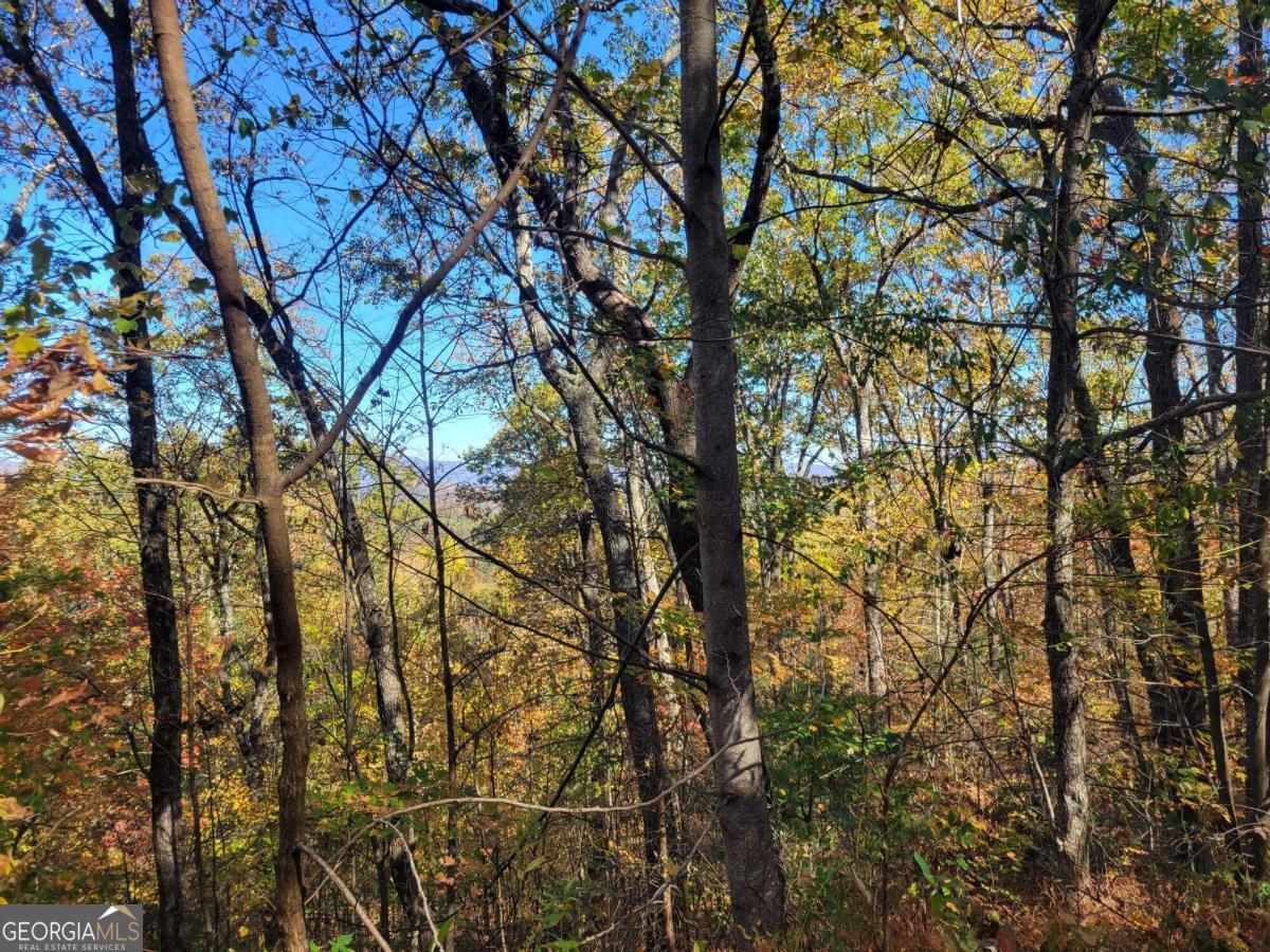 14 Ac Old Burnt Mountain Property Photo 5