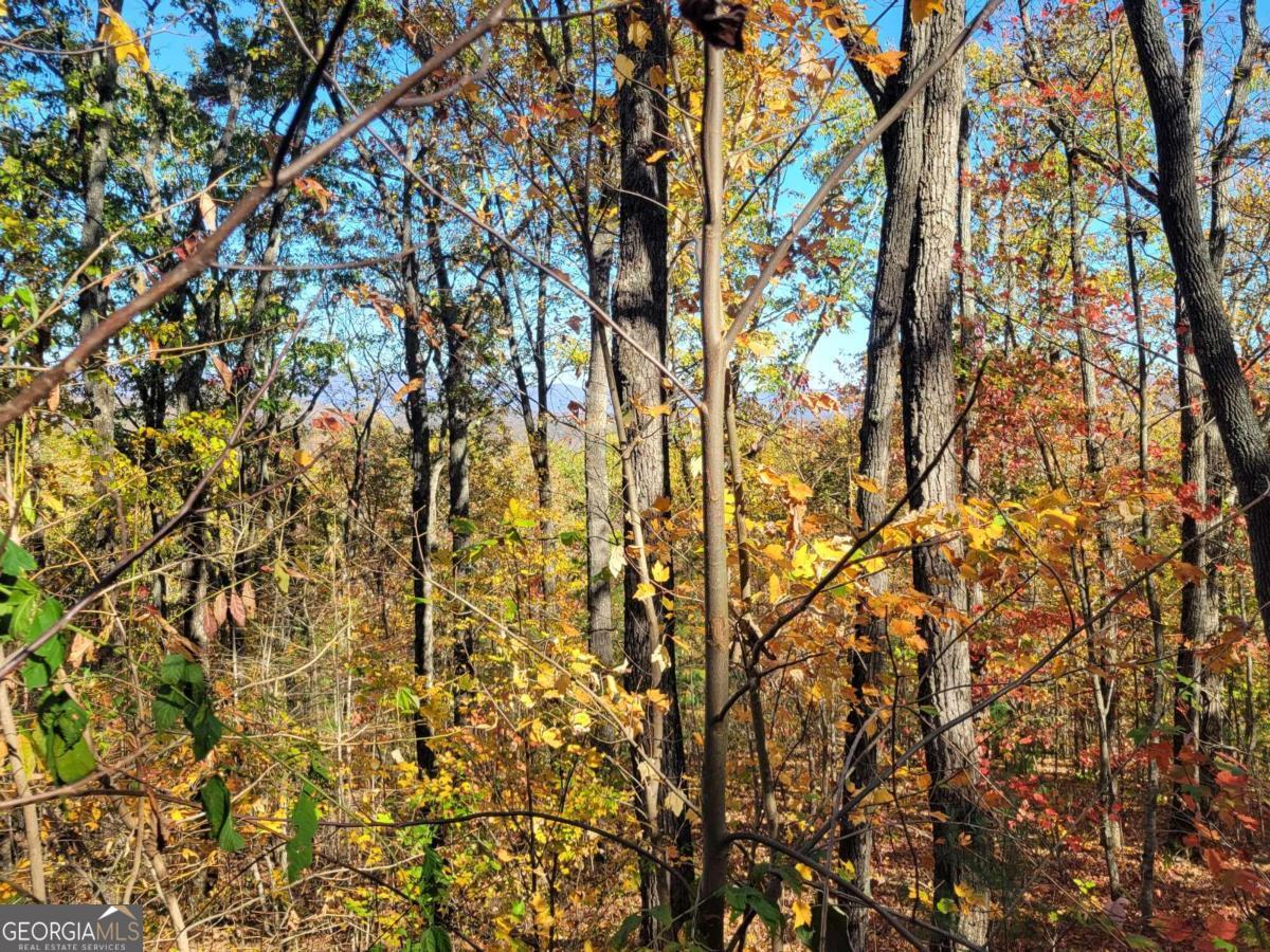 14 Ac Old Burnt Mountain Property Photo 7