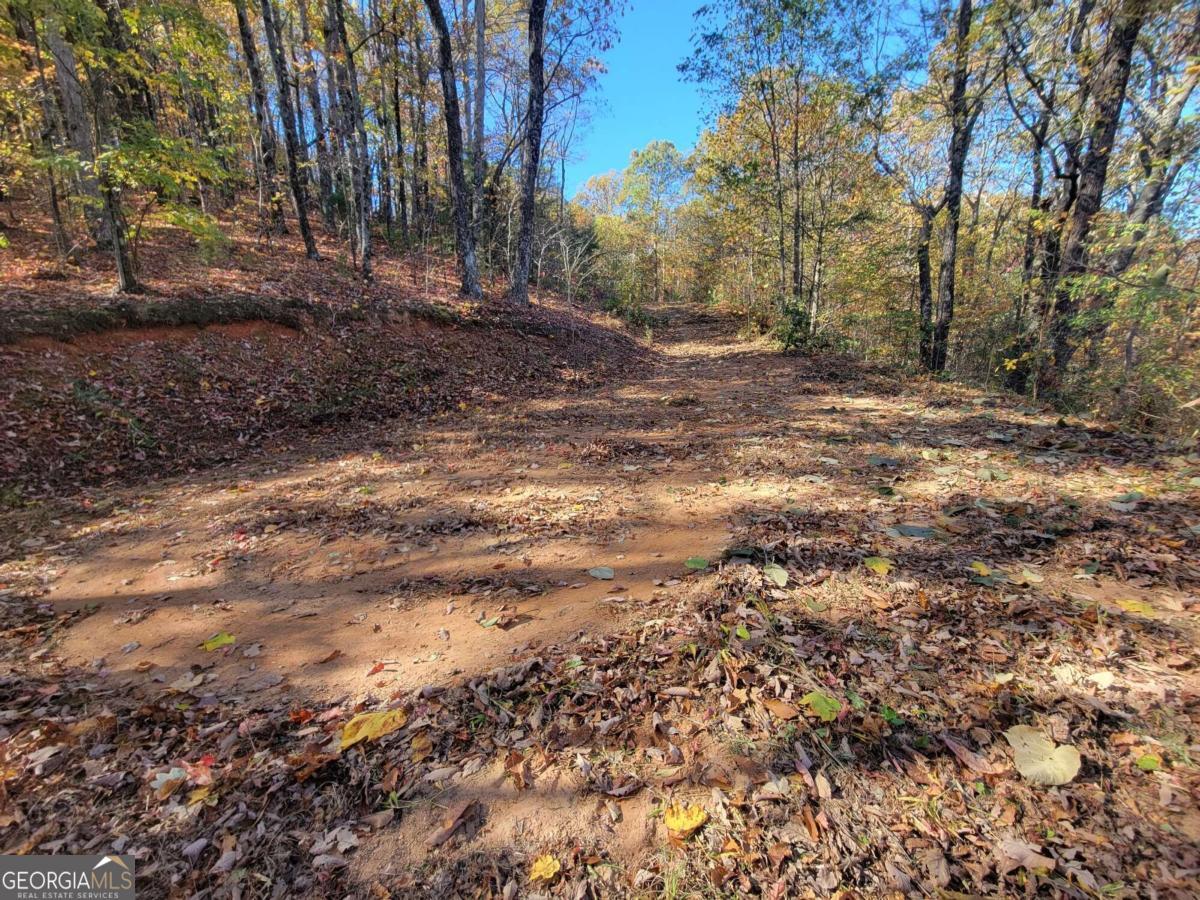 14 Ac Old Burnt Mountain Property Photo 10