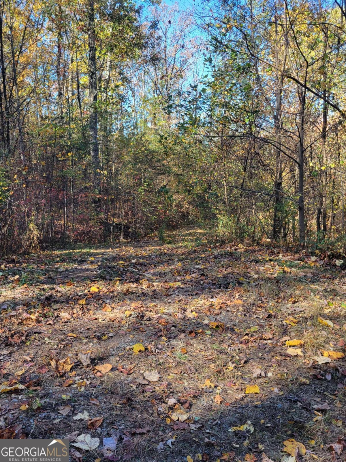 14 Ac Old Burnt Mountain Property Photo 11