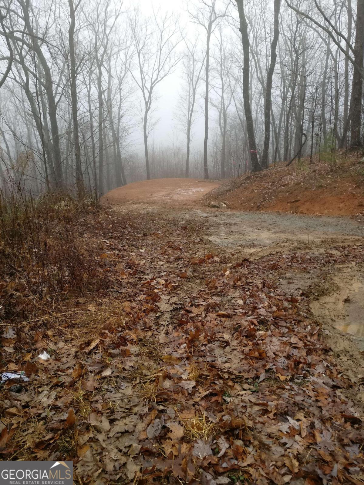 14 Ac Old Burnt Mountain Property Photo 12