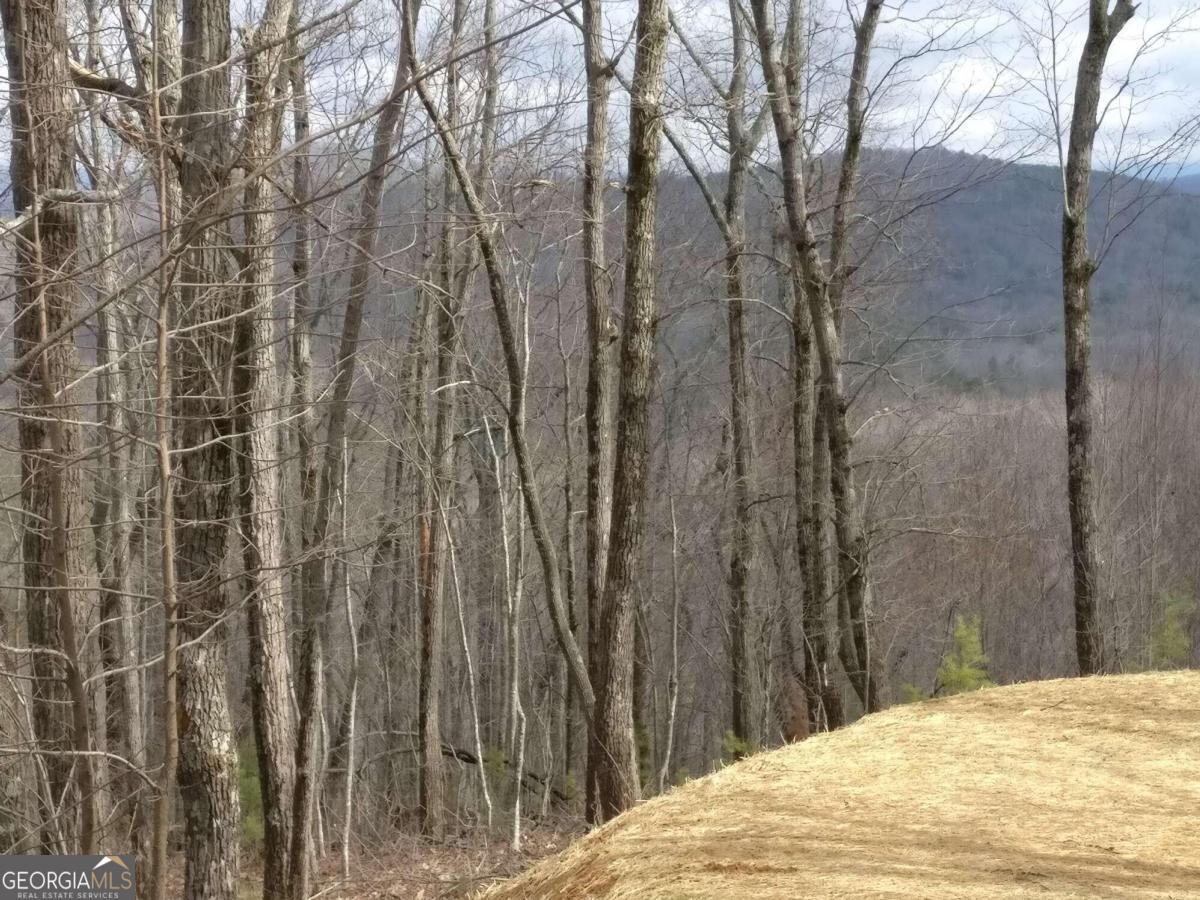 14 Ac Old Burnt Mountain Property Photo 13