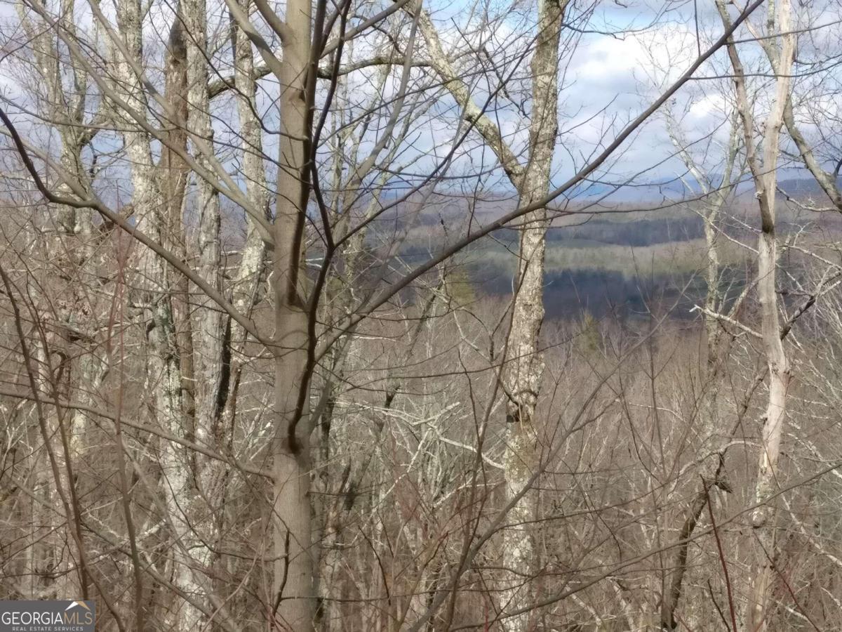 14 Ac Old Burnt Mountain Property Photo 14