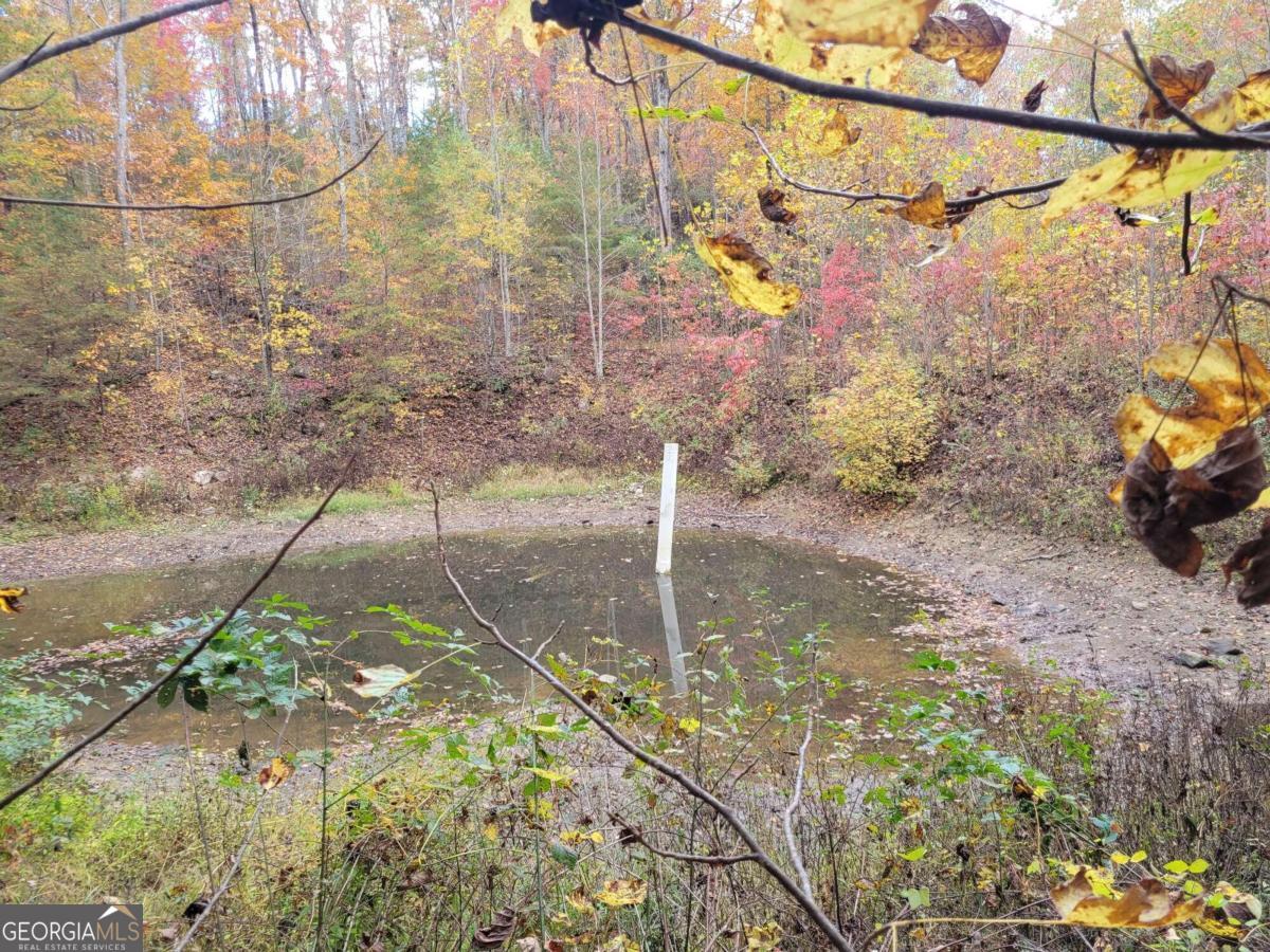 14 Ac Old Burnt Mountain Property Photo 15