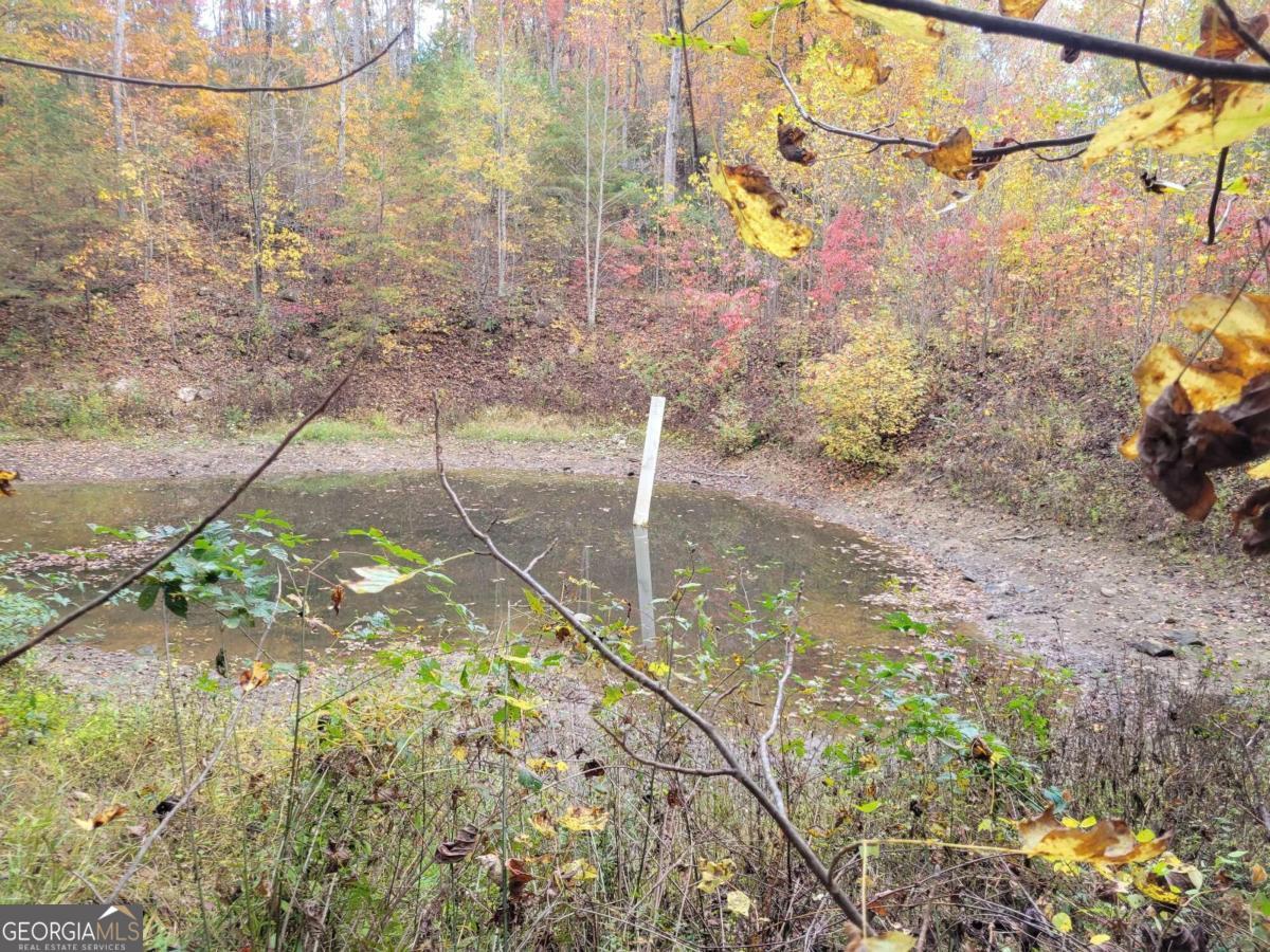 14 Ac Old Burnt Mountain Property Photo 16