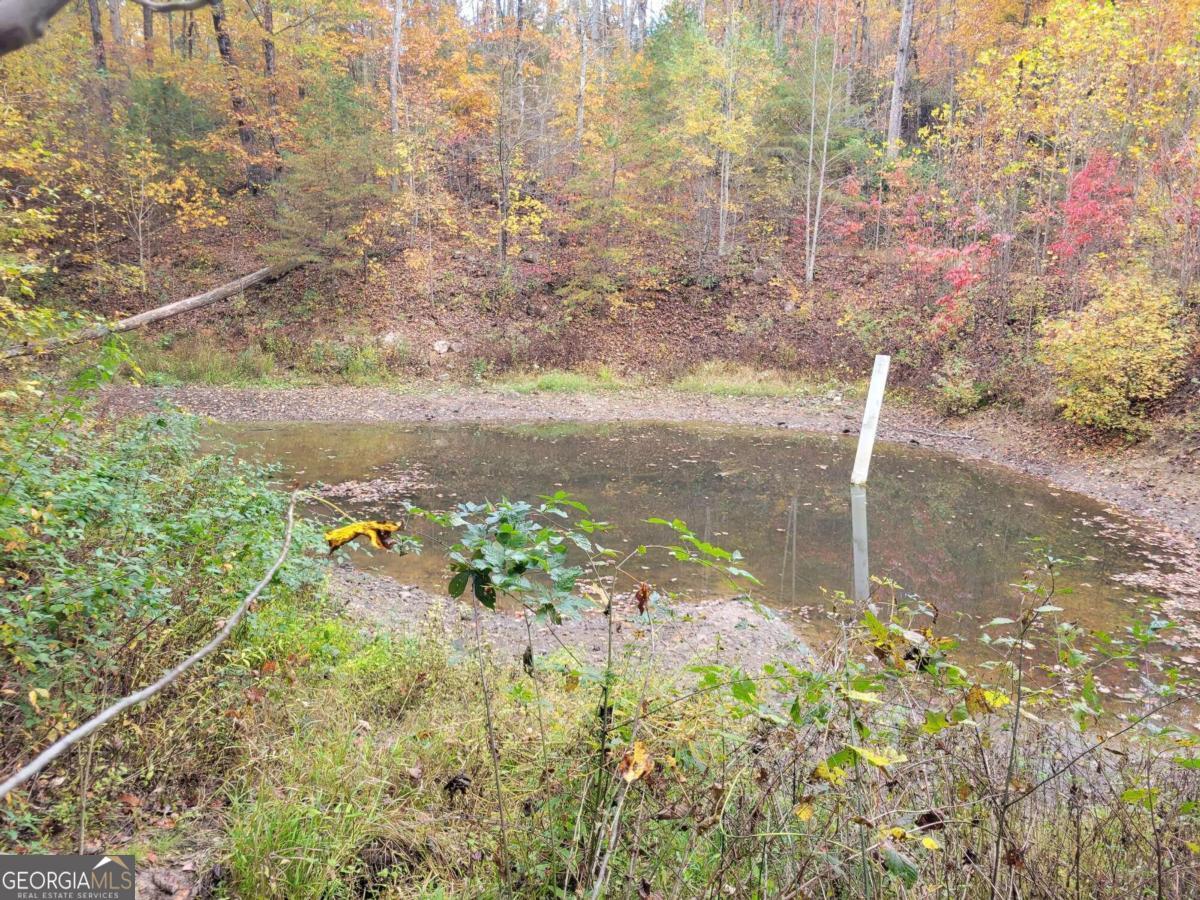 14 Ac Old Burnt Mountain Property Photo 17
