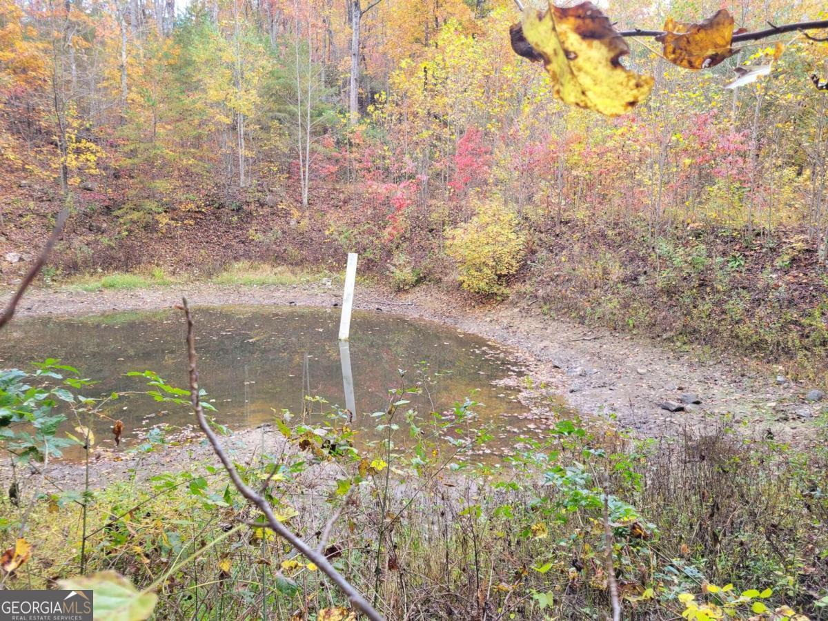 14 Ac Old Burnt Mountain Property Photo 18