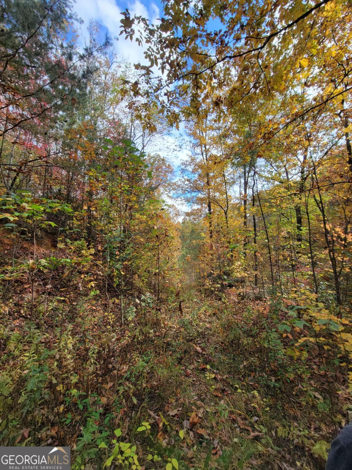 14 Ac Old Burnt Mountain Property Photo 21