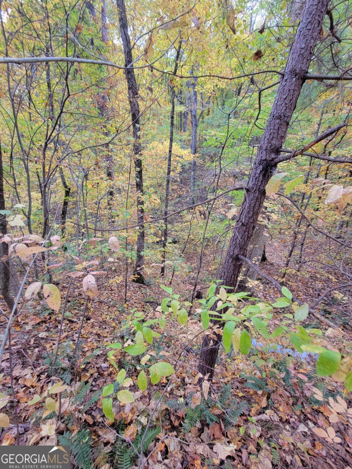 14 Ac Old Burnt Mountain Property Photo 22